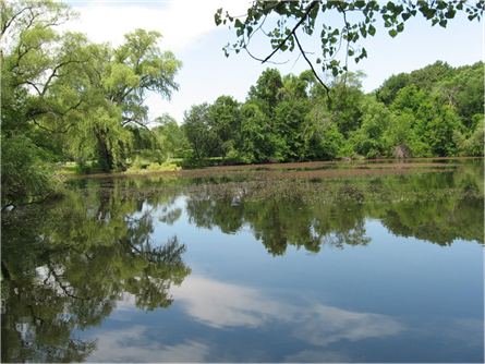 Fresh Pond Reservation