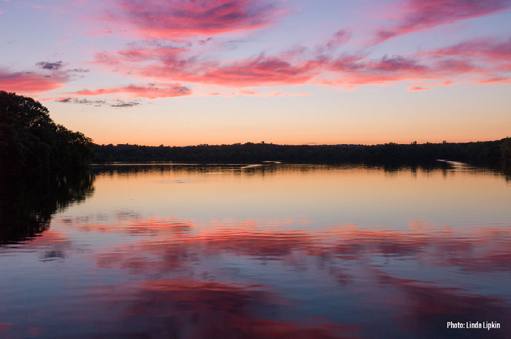 Fresh Pond - Sunset