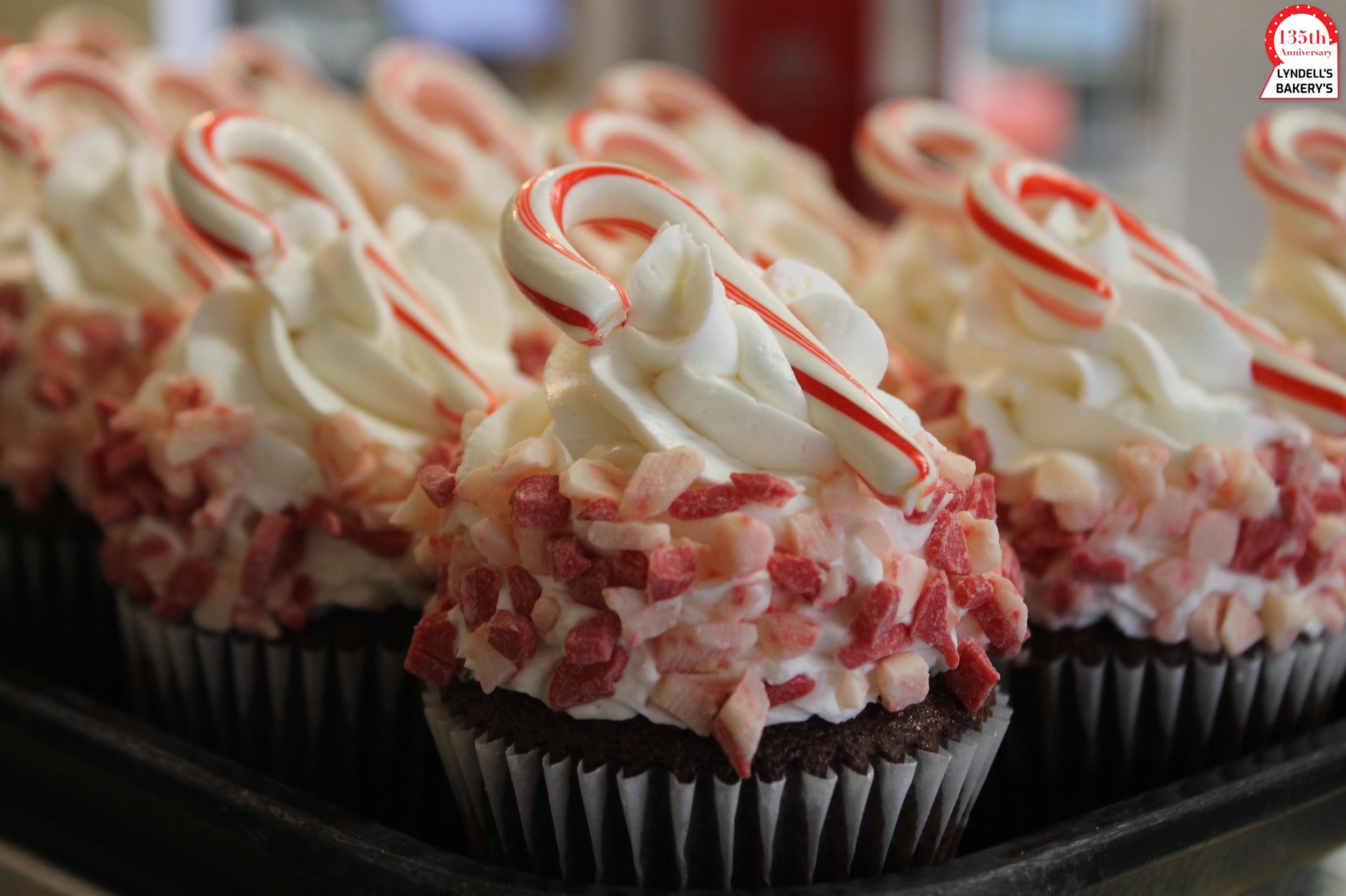 Best Cupcake bakeries in Boston - Lyndell's Bakery