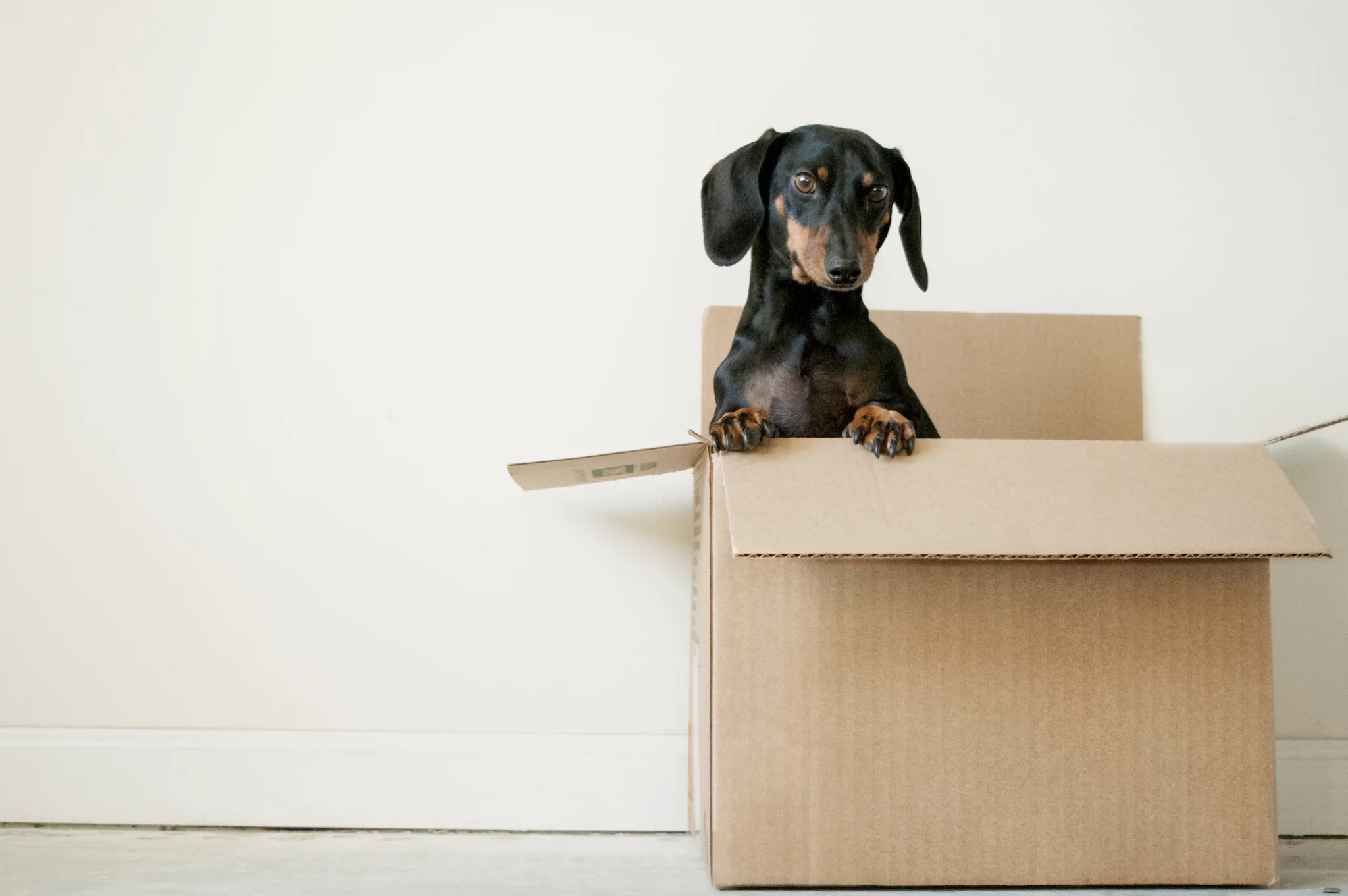 5 Ways to Save Money While Moving