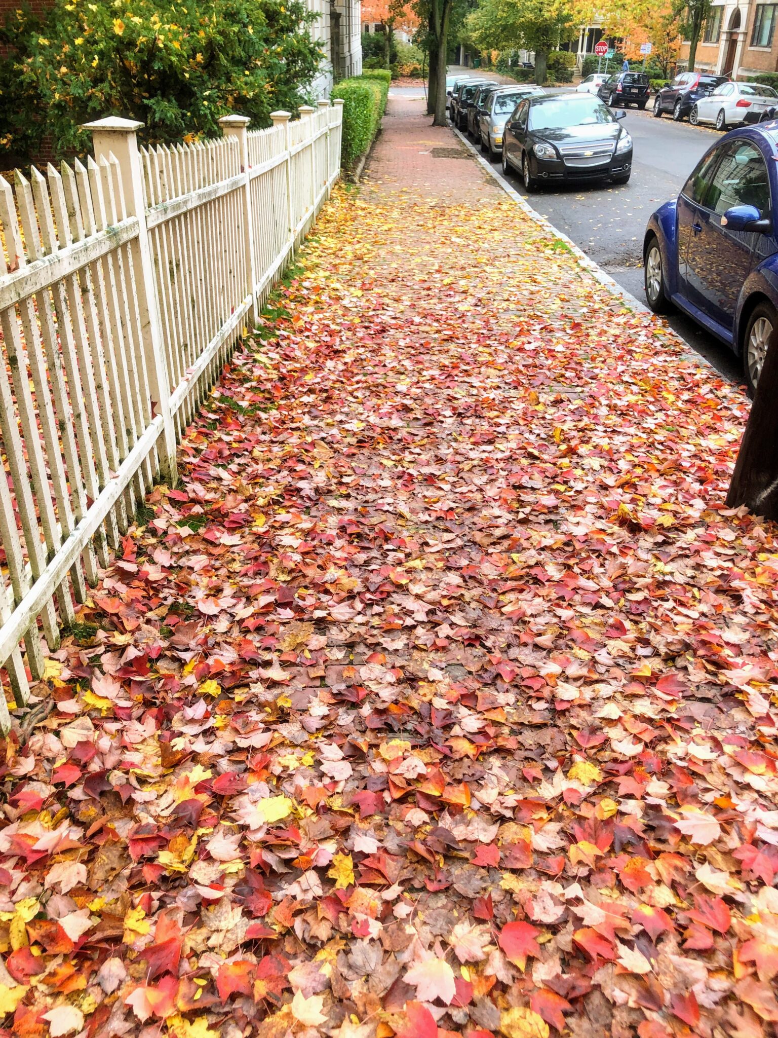 The Port Brick Sidewalks