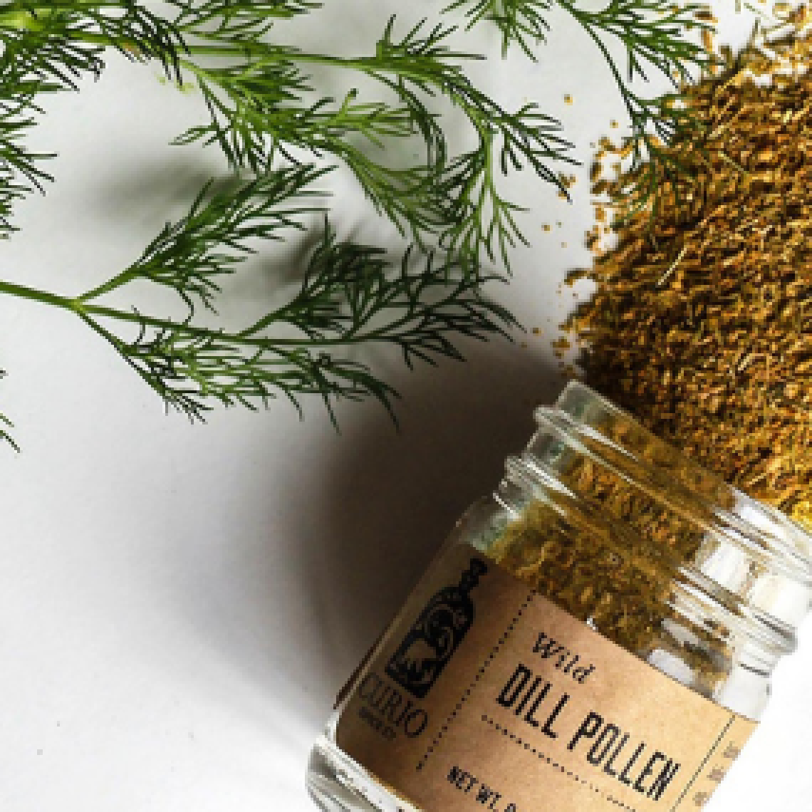Curio Spice Dill Image Banner